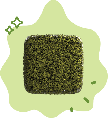 Matcha Tea Box