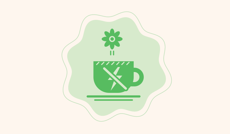 Caffeine-Free Tea Bundle